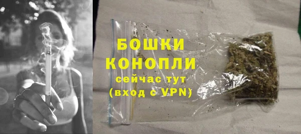 хмурый Дмитриев