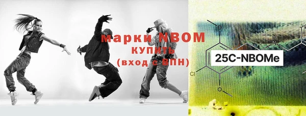 хмурый Дмитриев