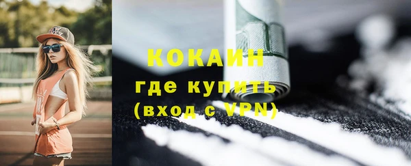 хмурый Дмитриев