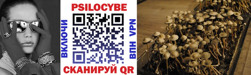 Галлюциногенные грибы Psilocybine cubensis Купить Удачный